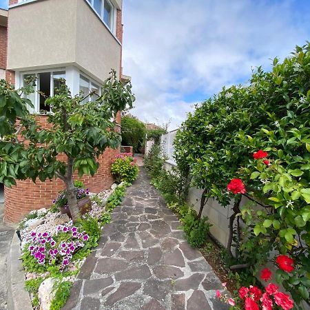 Casa Chalet Jardin Particular Ideal Grupos Y Familias Baranain エクステリア 写真